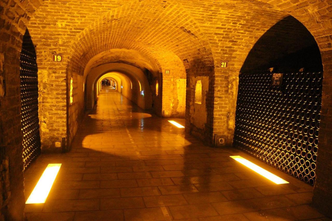 Hotel De Champagne إيبيرني المظهر الخارجي الصورة